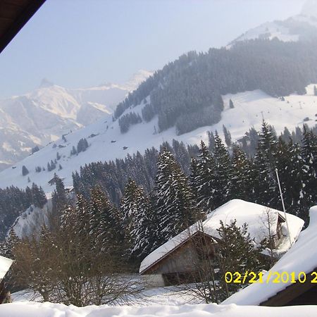 Apartment Nadeschda Adelboden Esterno foto