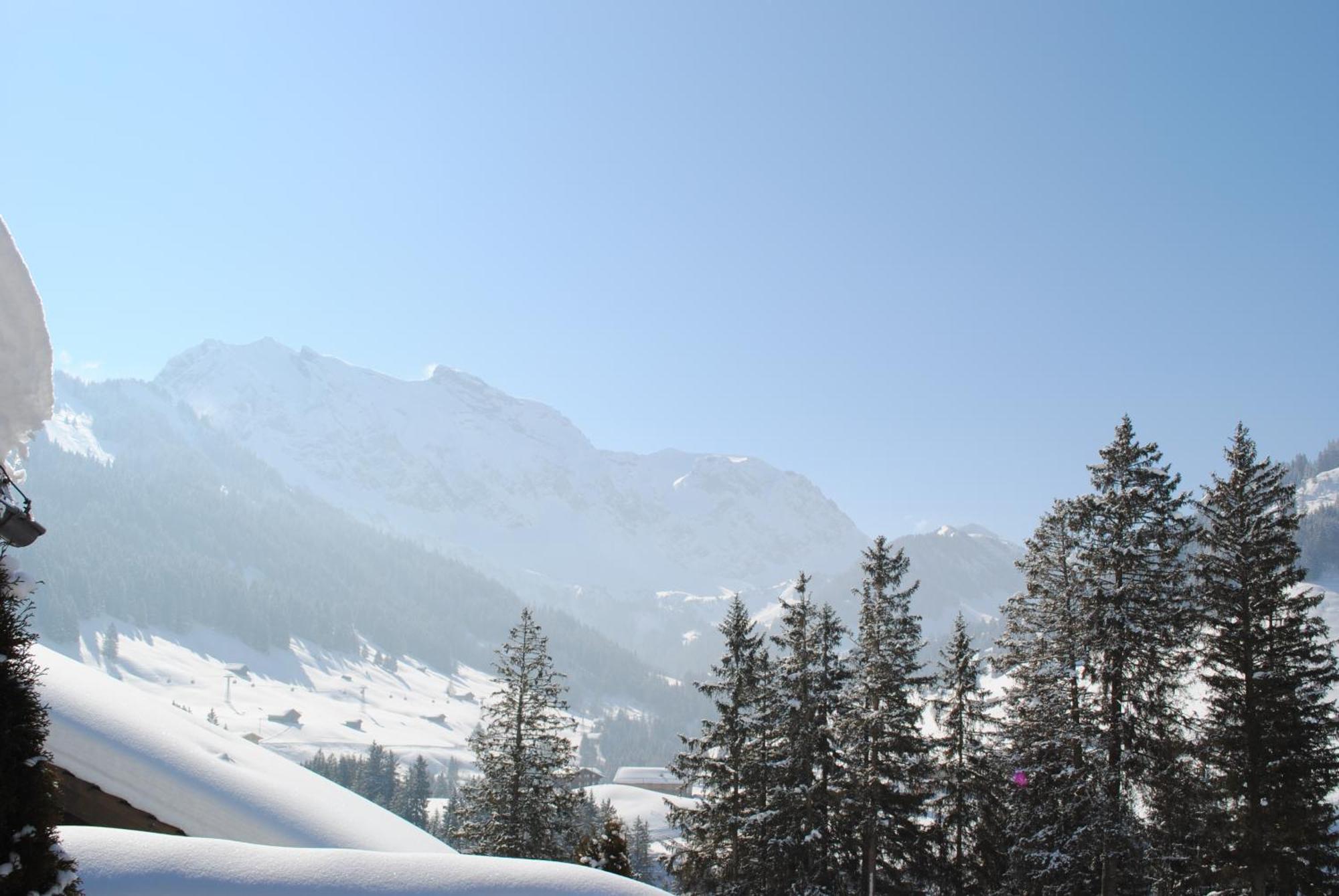 Apartment Nadeschda Adelboden Esterno foto